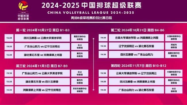 2025新澳精准正版免費資料或2025年正版资料免费,全面释义、解释与落实